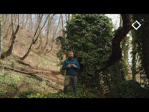 გურჯაანის მუნიციპალიტეტის სოფლები - ''მოგზაურის დღიური'' | 11.04.2026
