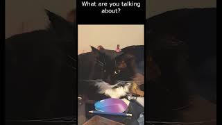 IT cat - ReFURbished laptop - Mr. Darcy, tuxedo cat by Cat Diary - just sharing days of being a cat 245 views 3 weeks ago 1 minute, 20 seconds