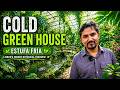 Lisbon's Most Magical Indoor Garden | Estufa Fria Walking Tour 4K