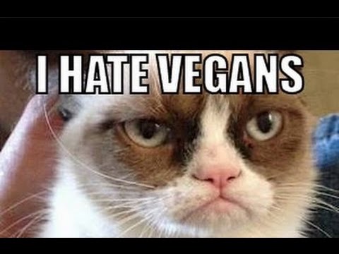 judgemental-vegans.-why-vegans-hate-you.-vegans-vs-meat-eaters.