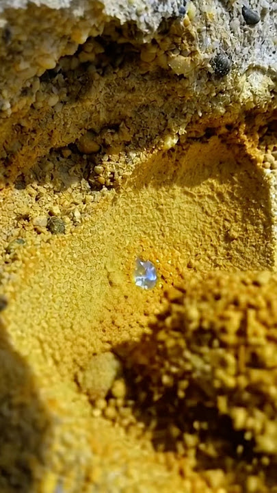 Download lagu 😱😱,‼️we made $100,000 on this piece of land