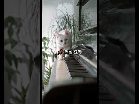 솔라나 ETF 연기 #라이트코인 #비트코인 #밈코인추천