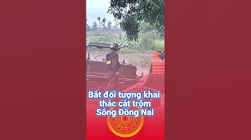 Bắt giữ 6 người khai thác cát trái phép trên sông Đồng Nai #khaithaccat
