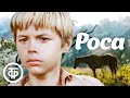 Роса (1975)