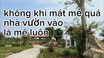 ko có thời gian chăm sóc đành giảm giá bán rẻ đất vườn đủ loại cây trái ở châu đức bà rịa vũng tàu