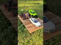 RC Long Jump RC Cars Battle For Victory