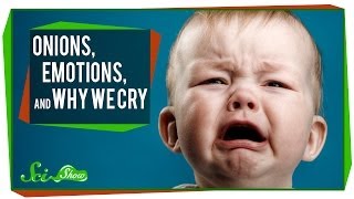 Onions, Emotions, and Why We Cry