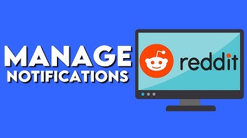 How To Manage Notifications On Reddit