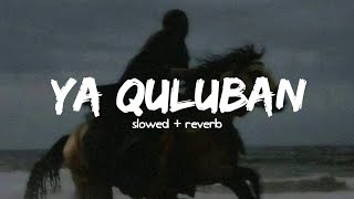 Ya quluban // slowed+reverb // english translation