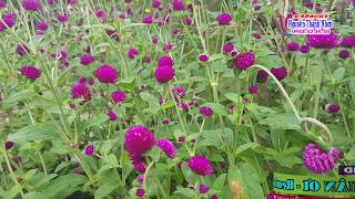 Karaoke | MÙA XUÂN ƠI | Tone nữ - Remix