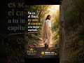 No es el final… Dios te está guiando 🙏✨#yhwh #fe #dios #jesús #amor
