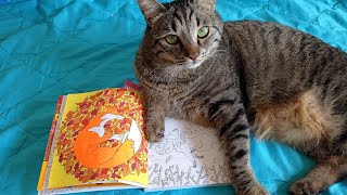 COMPLETED PAGES: September 2026
