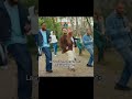 #gaming #anime #art #asmr #animals #bgmi #bollywood #cute #comedy #freefire #fyp #fypシ゚viral #prime