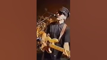 Les Claypool’s Insane Slap Bass Speed! Tommy The Cat