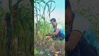 Apna Time Aayega📈 | हार नहीं मानूँगा 💪 | #shorts #minivlog #farming #vlog #time