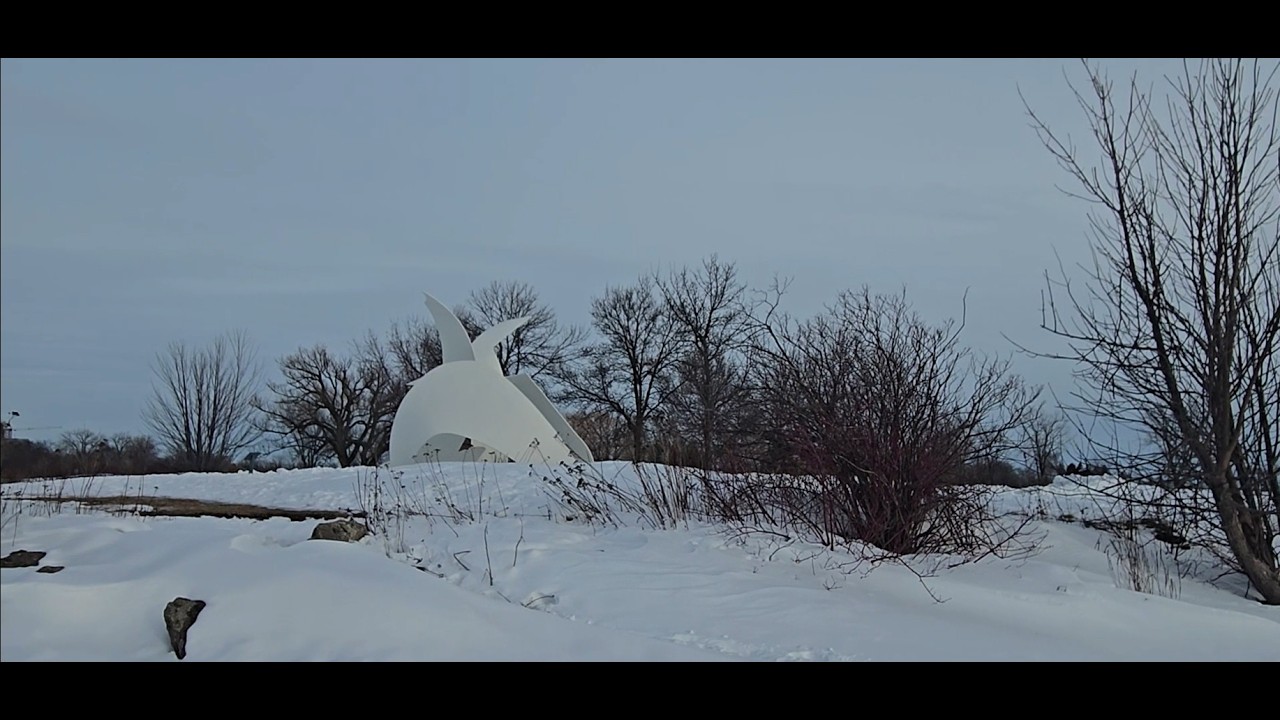 ⭕️  Parc René-Lévesque Montréal Lachine  Québec Canada Belle musique Belle nature 