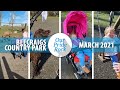 Dog Walks and Swing Sets | Home Vlog | Day Trip