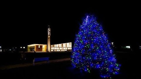 2nd Sunday of Advent Mass | December 5, 2021