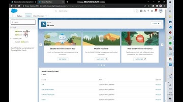 App Customization Specialist | Challenge 2 | Create record type and access rights