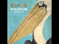 Cosmo sheldrake  pelicans we