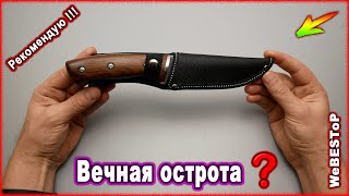 Китайский нож который может !!! Шикарный охотничий нож с Aliexpress. Бритвенная острота на вечно?