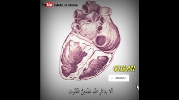 الَّذِينَ آمَنُوا وَتَطْمَئِنُّ قُلُوبُهُم بِذِكْرِ اللَّهِ ۗ ... || سورة الرعد ||  الراحة 😌
