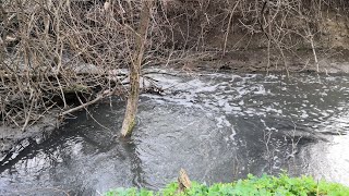 Ловля карася ранней весной на реке на поплавочную удочку часть 2