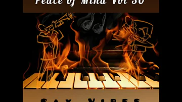 DJ Ace - Peace of Mind Vol 30 (Sax Vibes Slow Jam Mix)