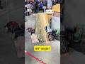 Defying Gravity: RC Car Conquers the Impossible Ascent! 😱 #rccar #remotecontrol #shorts