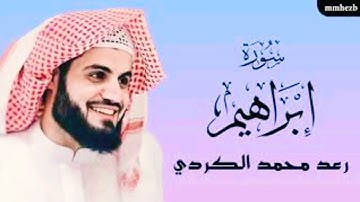 سورة إبراهيم (كاملة) القارى رعد محمد الكردي 😴💚