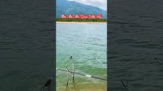 #fishing #cauca #fishinglife #camping #sinhton #caubien #giaitri #thugian