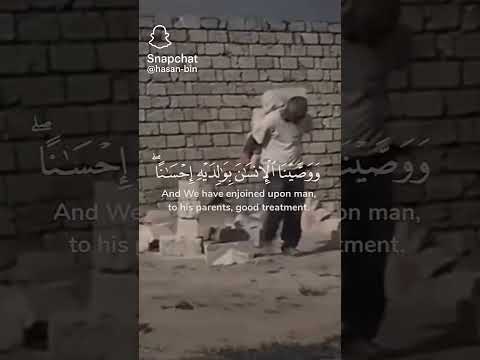 ووصينا الإنسان بوالديه حسنا حملته امه كرها ياسر الدوسري