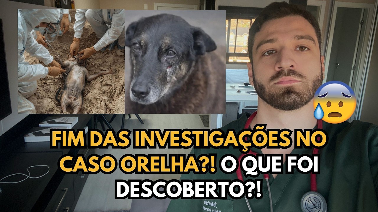 Novidades recentes no Caso Orelha: o que veio à tona após as novas investigações?