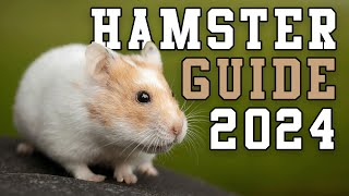 *WATCH THIS Before You Get A Pet HAMSTER | Basic Hamster Guide 2024 |