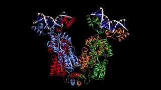 Proteins: Biology's Workforce | RiceX on edX | Course About Video