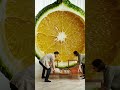 Abandoned Fruit to Million Dollar Luxury Room#LuxuryRenovation #BeforeAfter #Transformation#trending