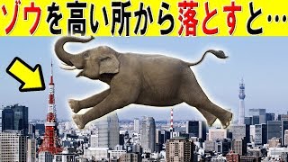 【謎】ゾウを高い所から落としたらどうなるのか…!?衝撃の展開