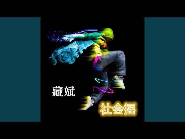 社会摇续集 (DJ版)