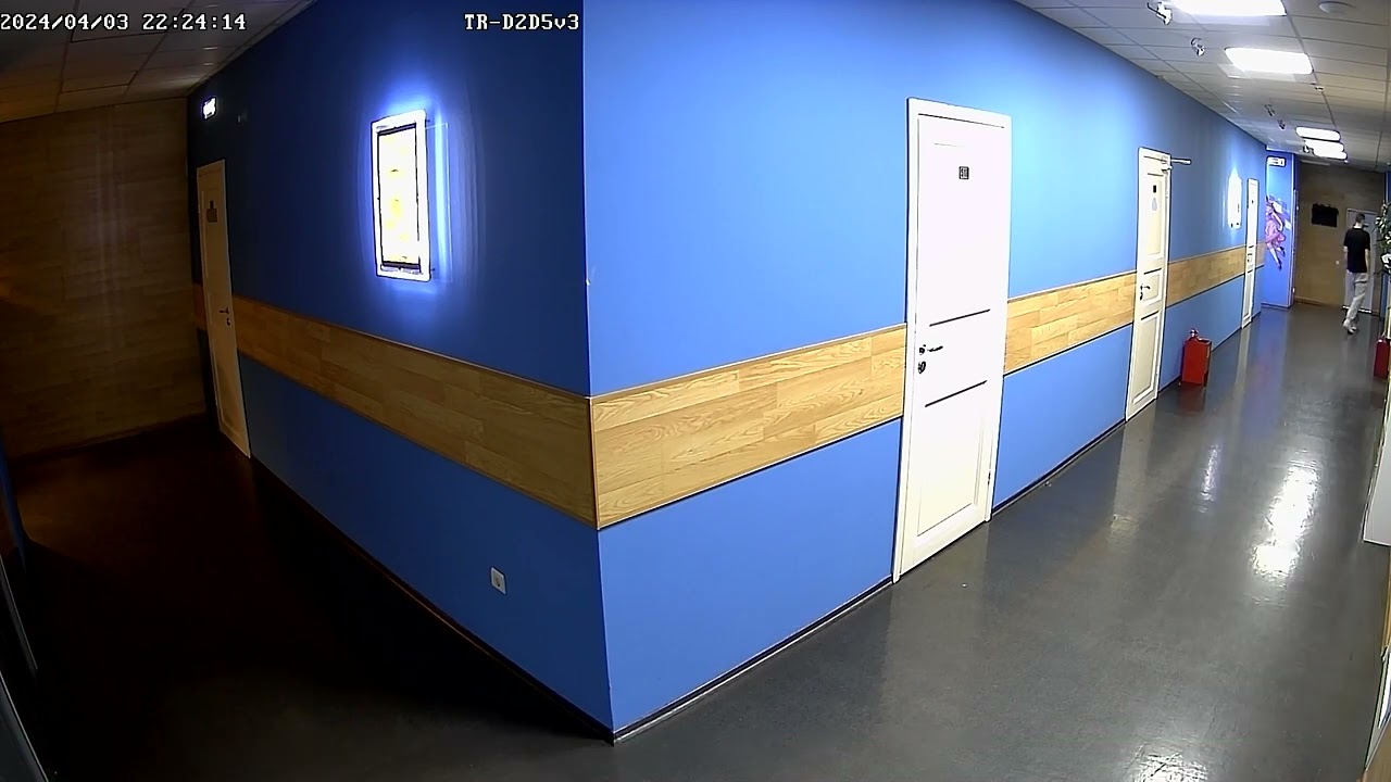 TRASSIR TR D2D5v3 офис