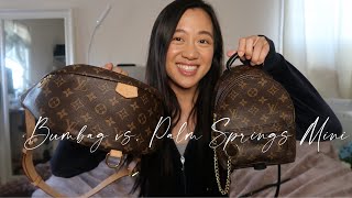 I wish they made smaller bum bags : r/Louisvuitton