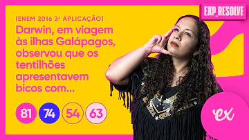 Como você explica a grande variedade de bicos dos tentilhões das diferentes ilhas de Galápagos?
