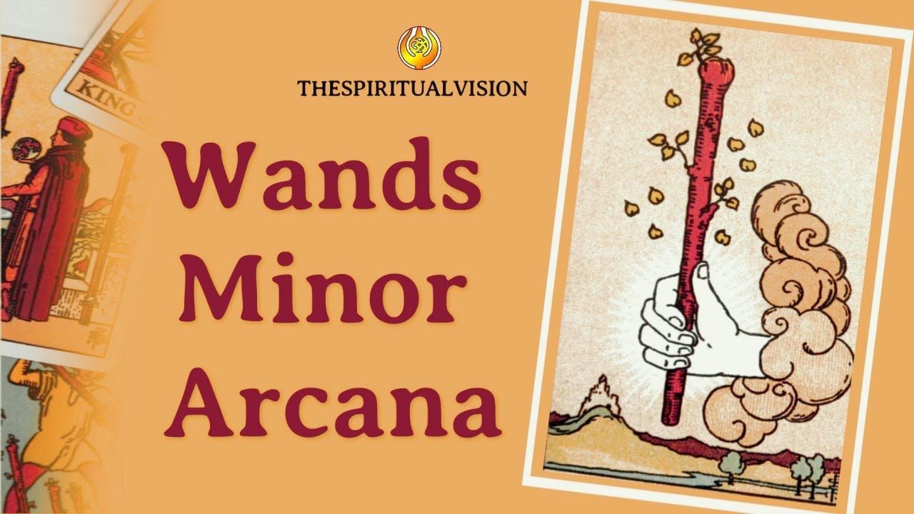 ACE OF WANDS & TWO OF WANDS HOW TO READ MINOR ARCANA CARD LEARN