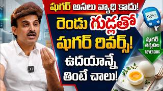 రెండు గుడ్లతో షుగర్ రివర్స్ ! | Egg - Dianetes | Perfect Food to Cure Diabetes | PlayEven | Latest
