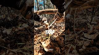 Trap #survival #trap #bushcraft (How To Make a Snare Trap)