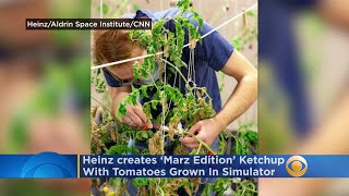 Heinz creates ‘Marz Edition’ Ketchup With Tomatoes Grown In Mars Simulator
