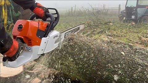 Stihl MS661 C Chainsaw cutting Ash for Firewood