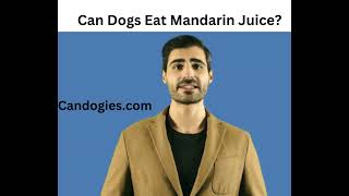 Can Dogs Eat Mandarin Juice