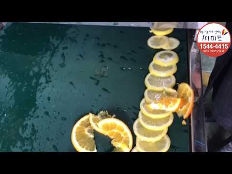 레몬슬라이스HKS-400  Large volume lemon slicing machine