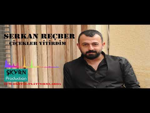 Serkan Reçber Çiçekler Yitirdim (Audio) 2020