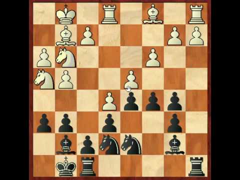 ION M.G Chess for windows instal ION M.G Chess for windows instal